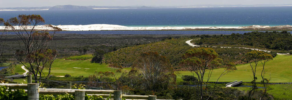 Vines Overlooking the Pacific at Carrington Estate Winery