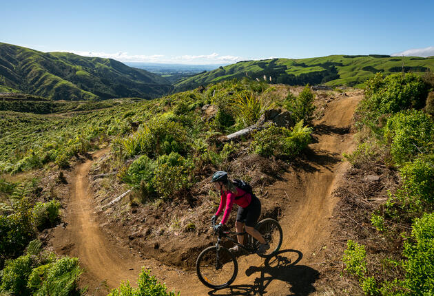 Manawatū, on New Zealand's lower North Island, is heartland New Zealand, offering an authentic Kiwi experience that's not to be missed.